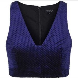 TOPSHOP Velvet Crop Top